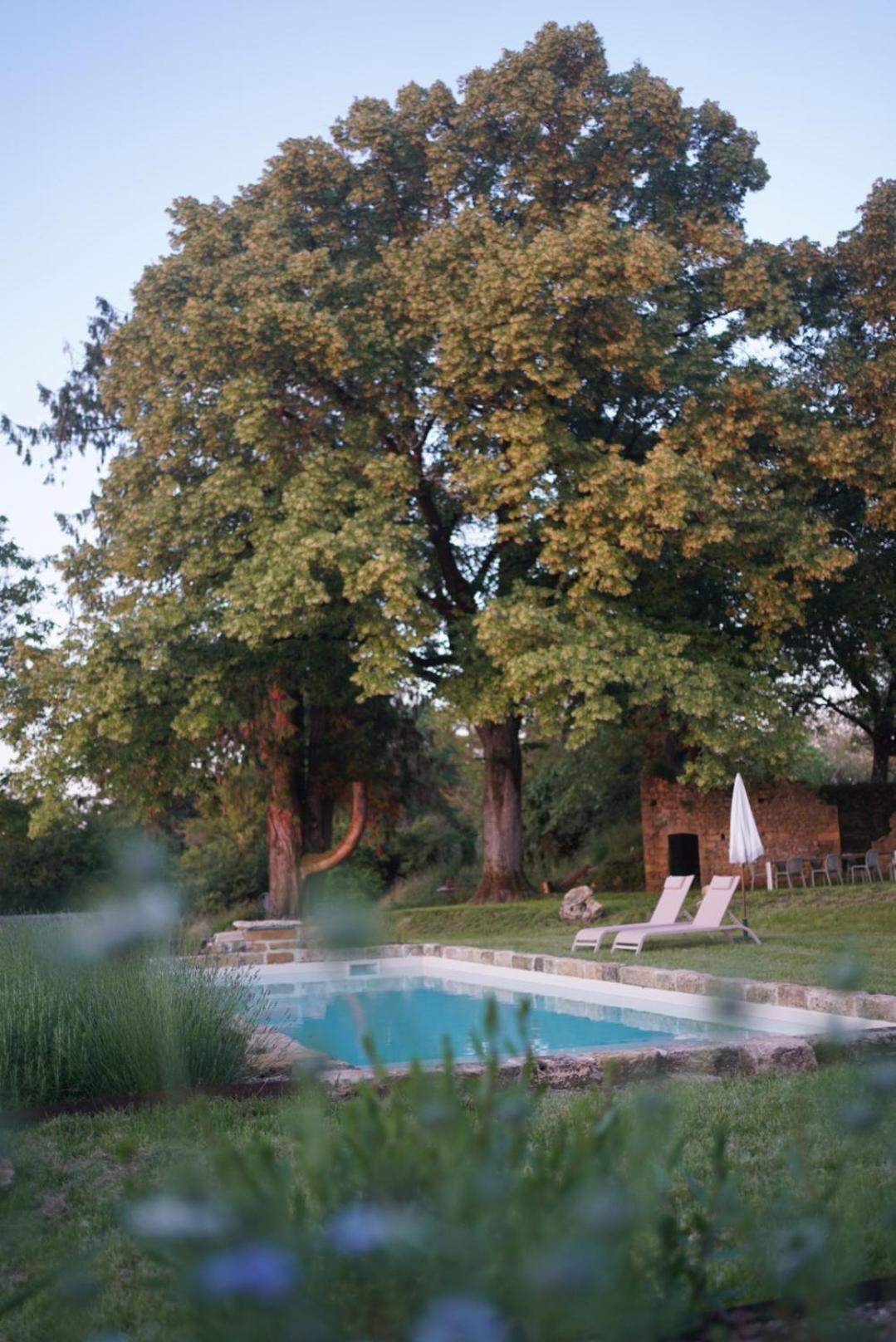 Maison Lou Piade Sarlat-la-Caneda Bagian luar foto